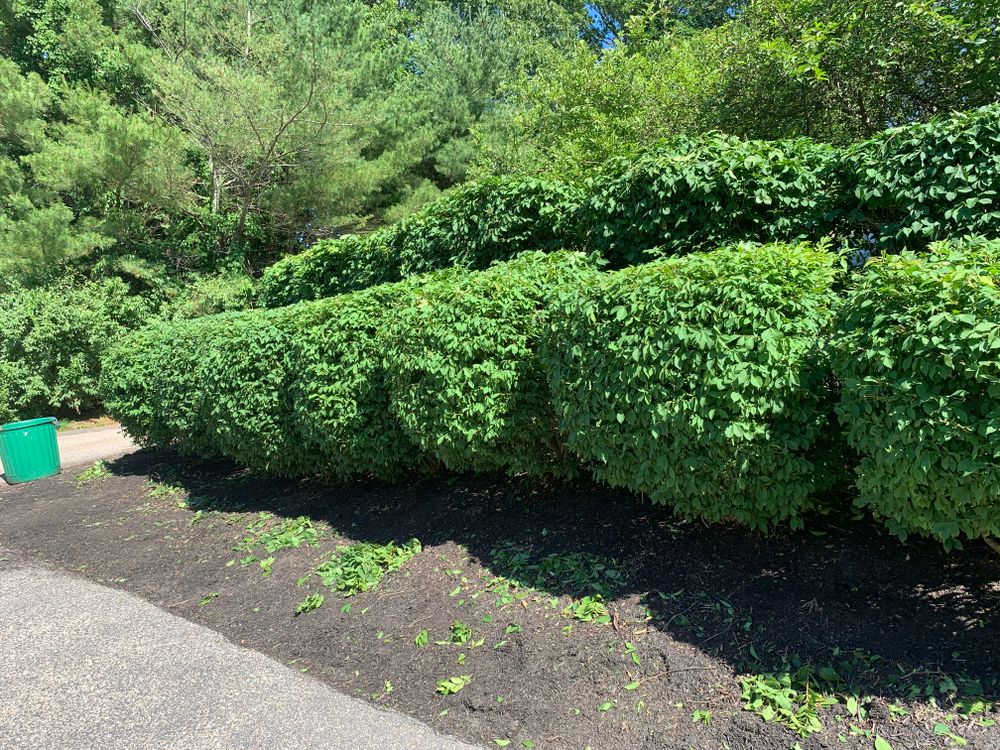 All Photos for Murray Mowing and More in Ashaway, RI
