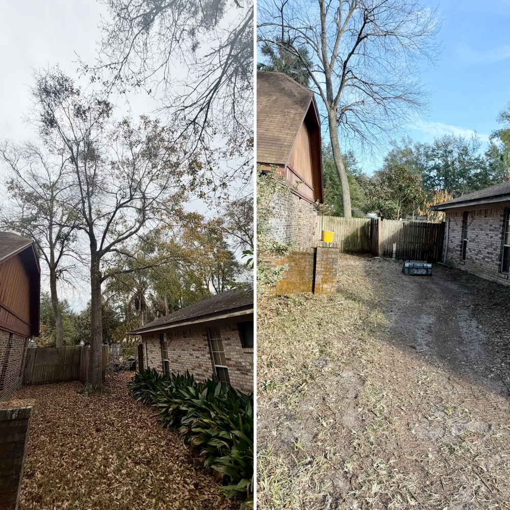 All Photos for Top Notch Tree Experts in Orange Park, FL