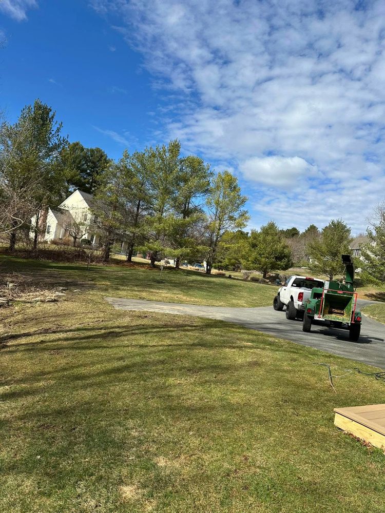 Our Fall Clean Up service ensures your property stays tidy as the seasons change. We expertly remove leaves, debris, and dead branches to maintain a healthy and beautiful landscape throughout autumn. for Silver City Tree Service in Taunton, MA