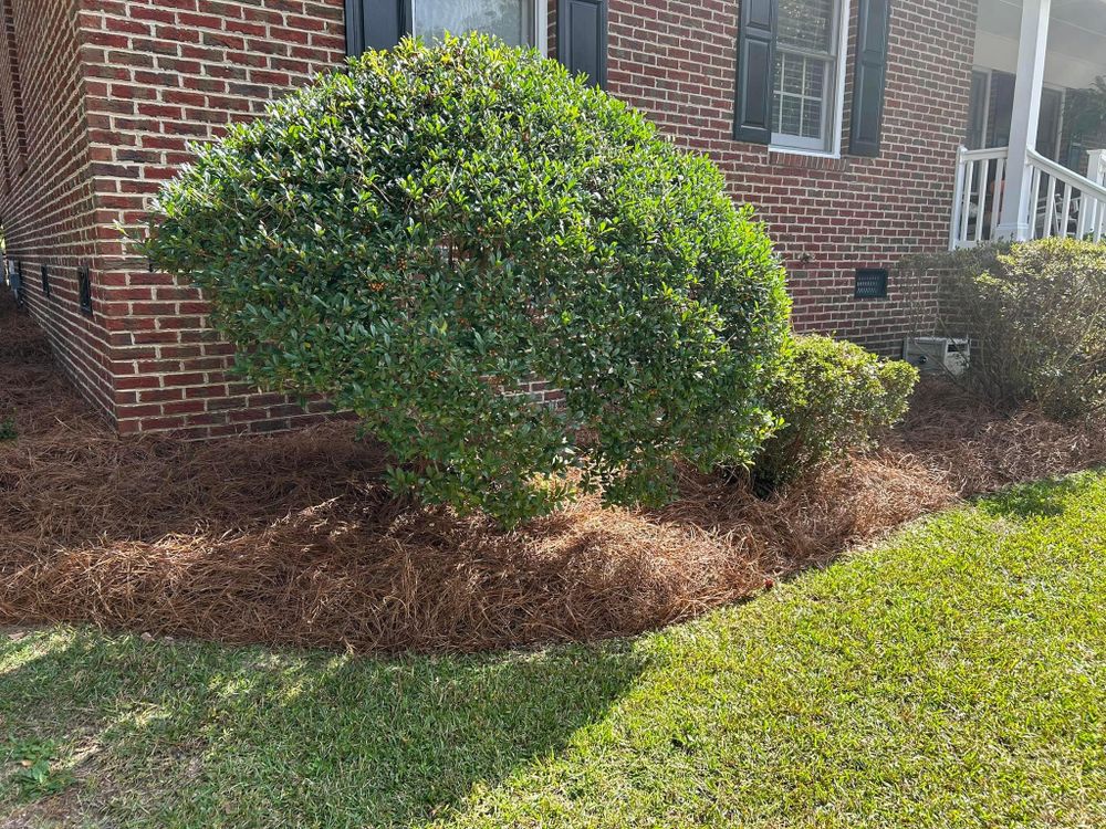 All Photos for Cutting Edge Lawn Care in Fayetteville, NC