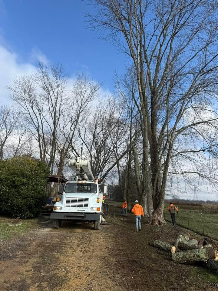 All Photos for Ross Family Tree Service LLC  in Hohenwald, TN