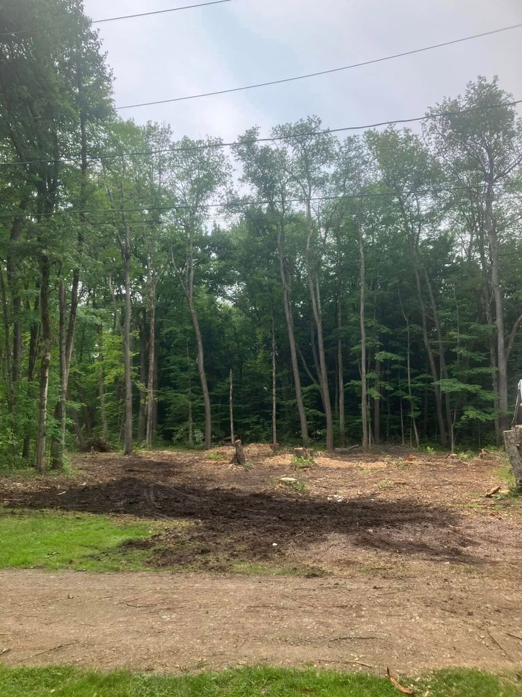 All Photos for Lovenguth Logging and Tree Service in West Monroe, NY