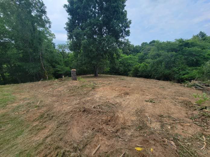 Our Land Clearing service efficiently and safely removes trees, underbrush, and debris from your property to create a clean canvas for landscaping or construction projects. Trust us for expert solutions. for Patterson Excavation in Dry Ridge, KY