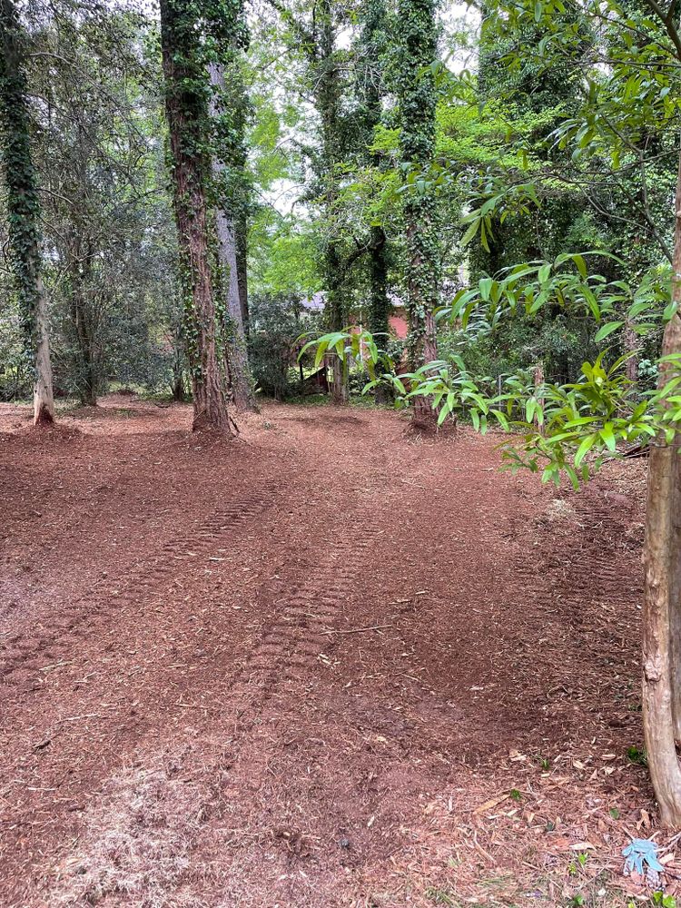 Forestry Mulching for G&H Forestry Mulching and Land Services in Fayetteville, GA