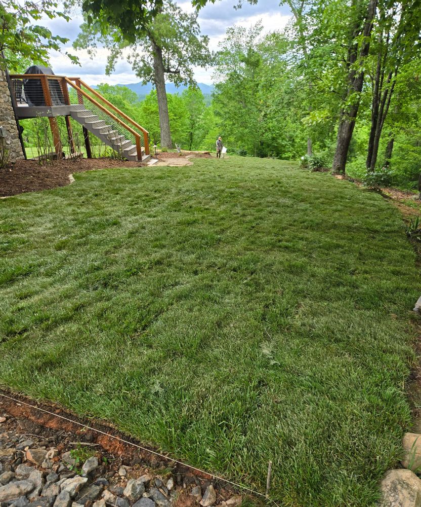 Sod installation  for C4 TrueVision Renovations in Asheville, NC