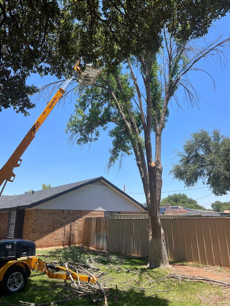 Tree Removal for Compas Cleanup in McCamey, TX