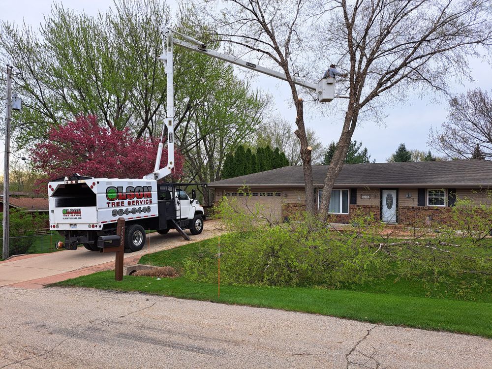 Enhance your landscape's health and beauty with our expert tree trimming services. We carefully prune branches to promote growth and safety while maintaining the natural aesthetics of your home environment. for Olson Tree Service, Inc in Winnebago County, IL