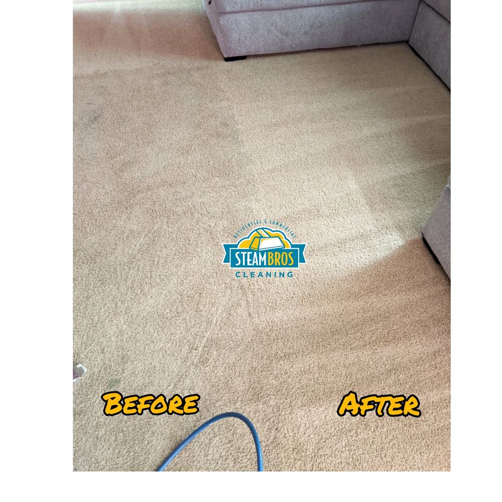 Carpet Cleaner for Steam Bros LLC in Greensboro, NC