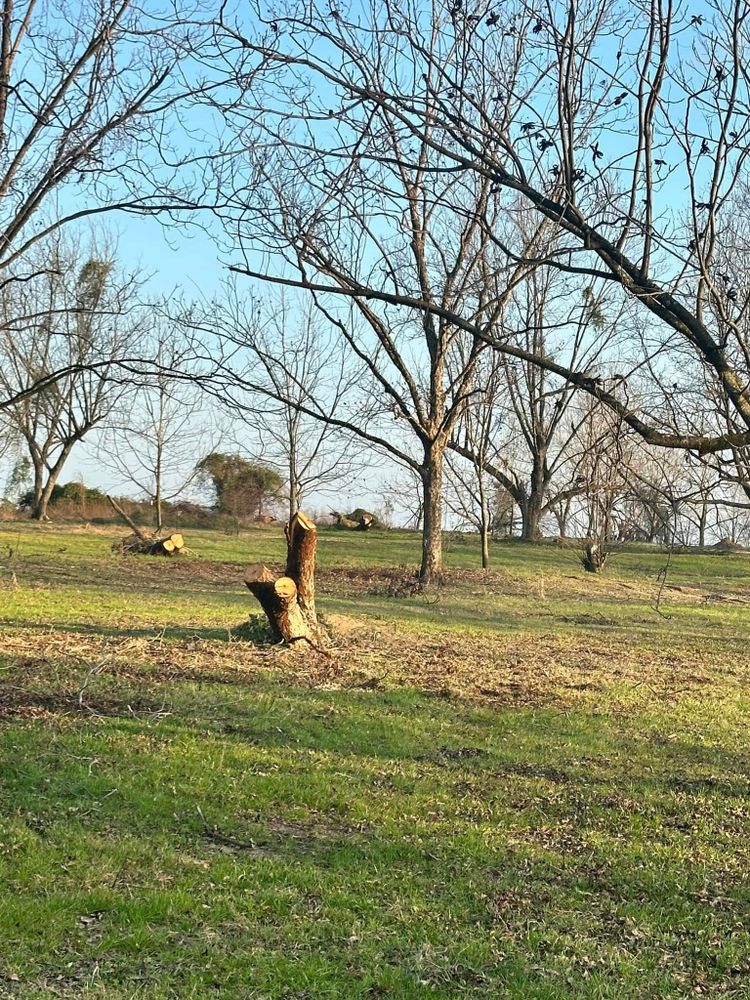 Our professional lawn service enhances your home's curb appeal with expert mowing, fertilization, and weed control. Trust our experienced team for comprehensive care that keeps your lawn lush and healthy year-round. for Page Outdoor Services in Wrightsville, GA