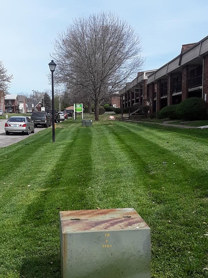 Lawn Care for The After Effect LLC in Louisville, KY