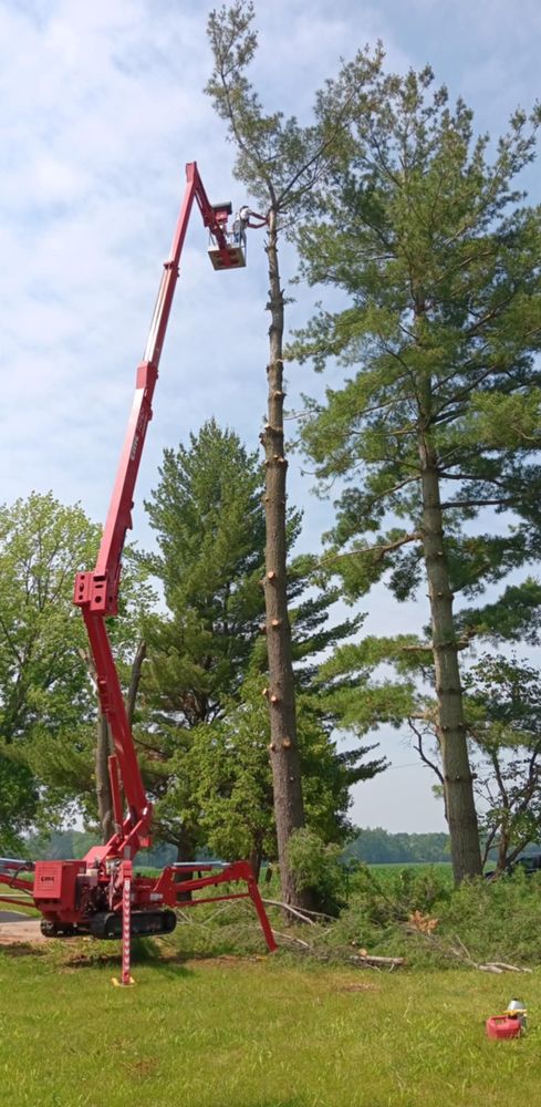 All Photos for Lawn Ranger Yard And Tree Service LLC in Ottumwa, IA