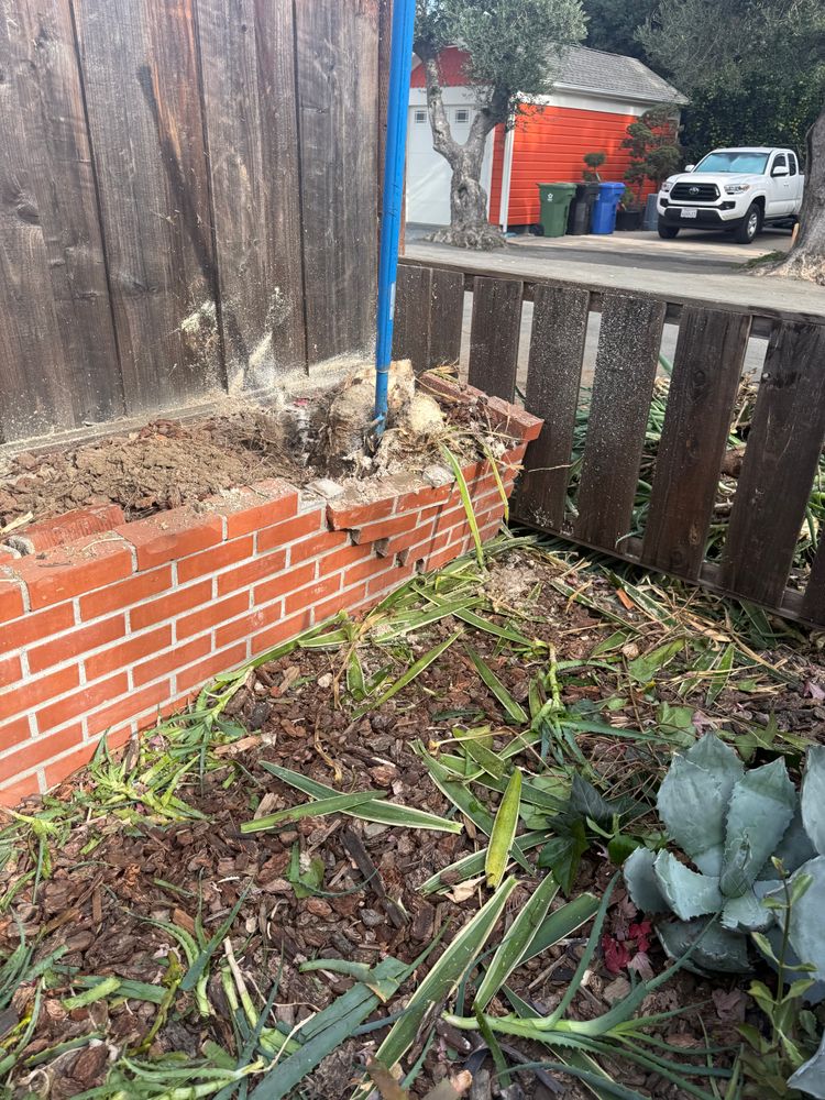 All Photos for CBA Landscaping in Hayward, CA