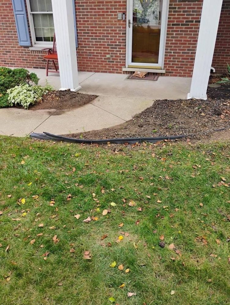 All Photos for Kingdom Tree Trimming and Removal LLC in Covington, KY