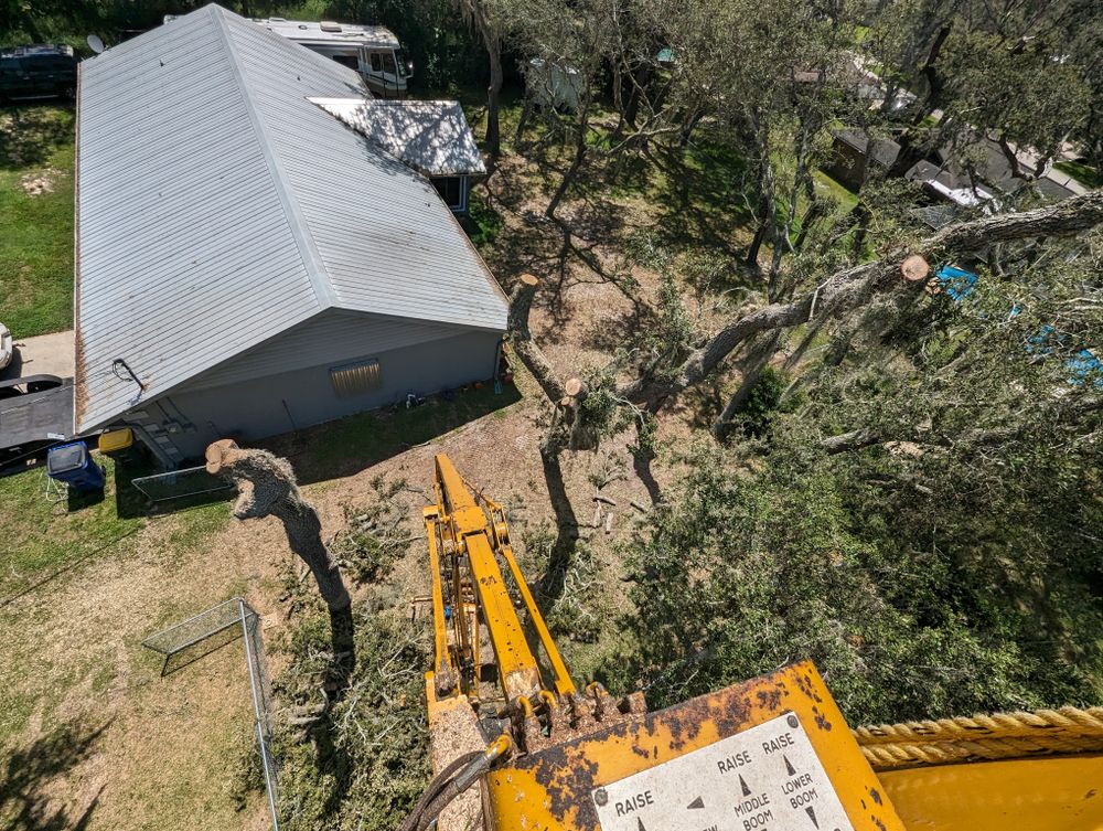 All Photos for Regal Tree Service and Stump Grinding in Wauchula, FL