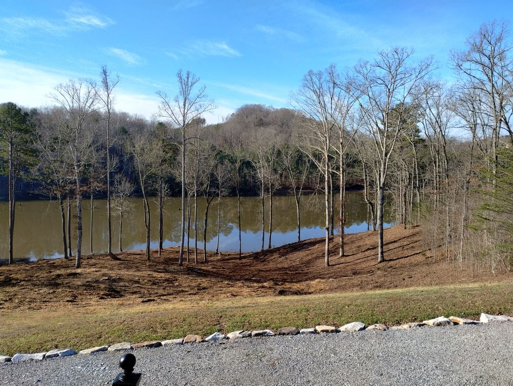 Tree Removal for Scott's Tree Service in Athens, TN