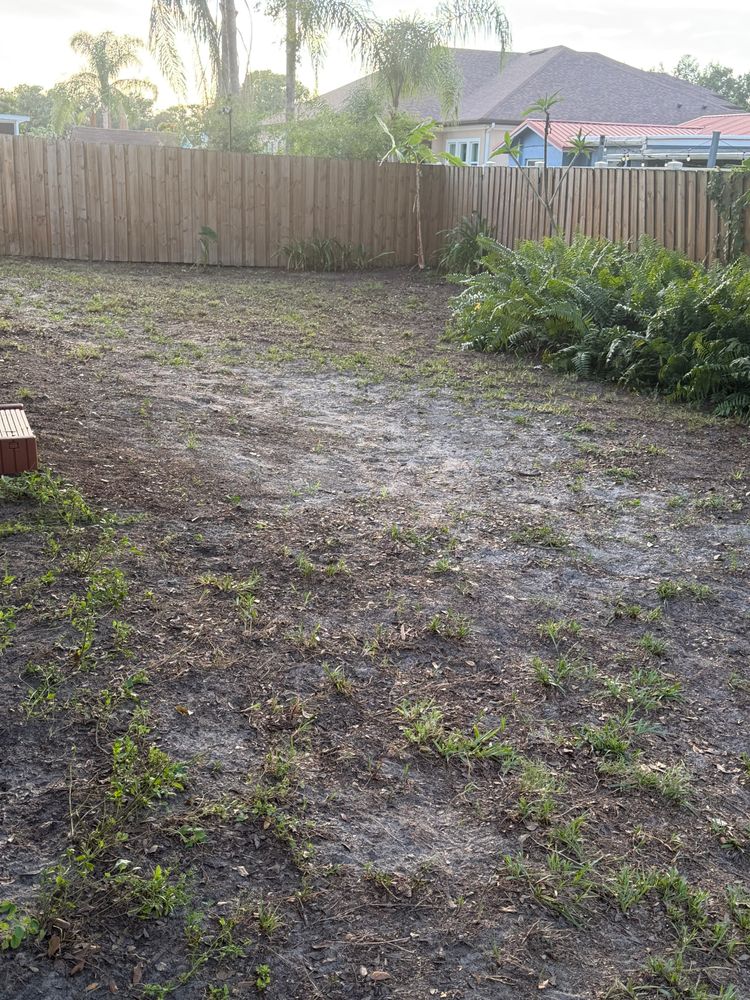 All Photos for The Yardman in Tampa, FL