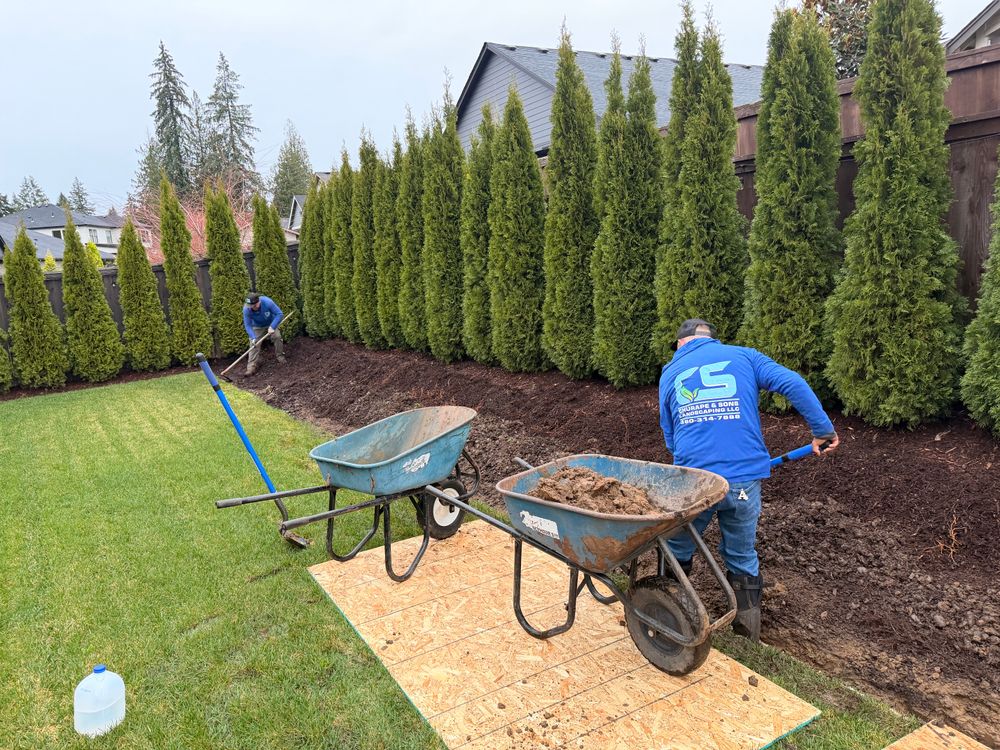 All Photos for Churape And Son's Landscaping in Vancouver, WA
