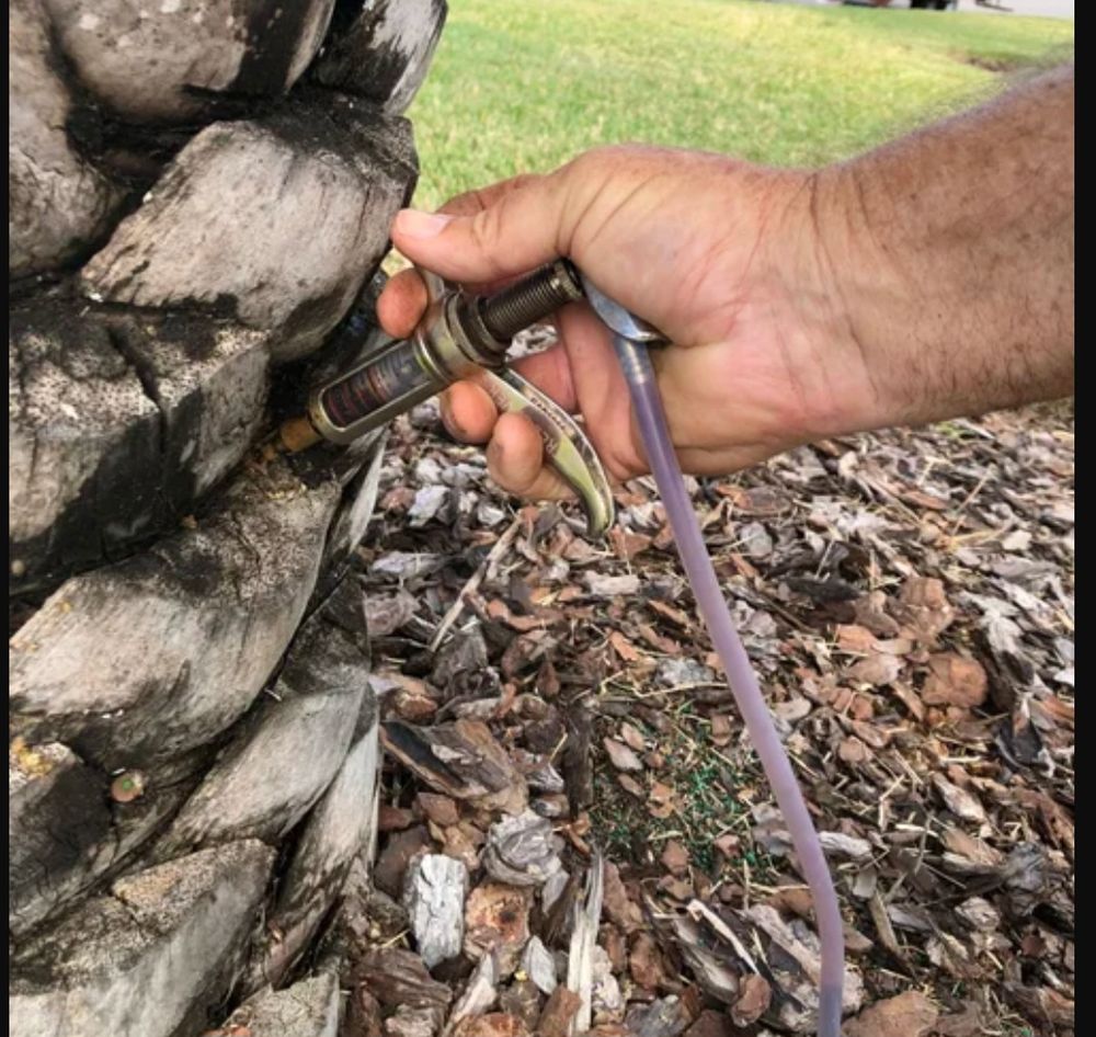 Our Palm Injections service provides targeted treatment to protect and nourish your palm trees, ensuring optimal health and vitality by delivering essential nutrients directly to the tree's vascular system. for Bridgewater Arbor Care LLC in Jupiter, FL