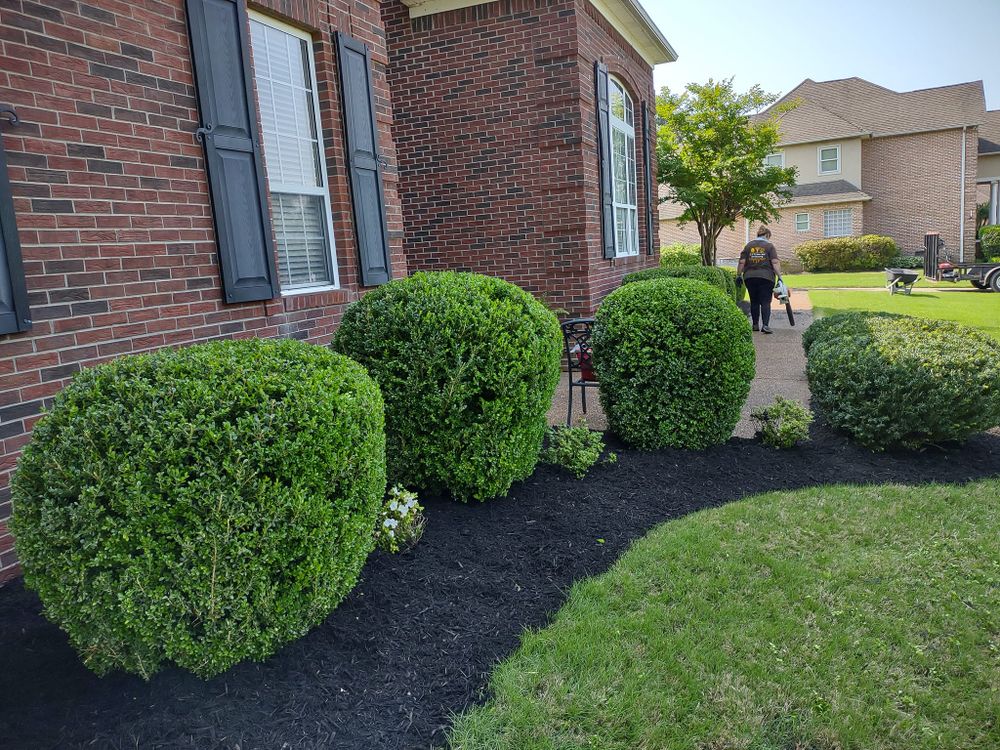 All Photos for Freedom Works Lawnscaping in Dyer County, Tennessee