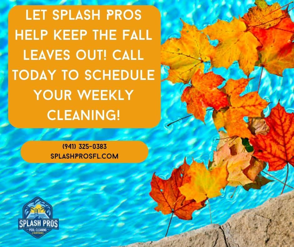 All Photos for Splash Pros in Parrish, FL