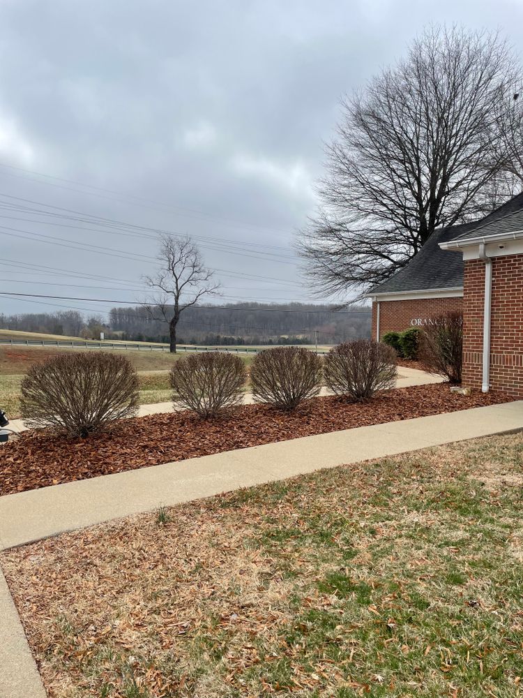 Landscaping for Chiles Lawn & Landscaping in Gordonsville, VA