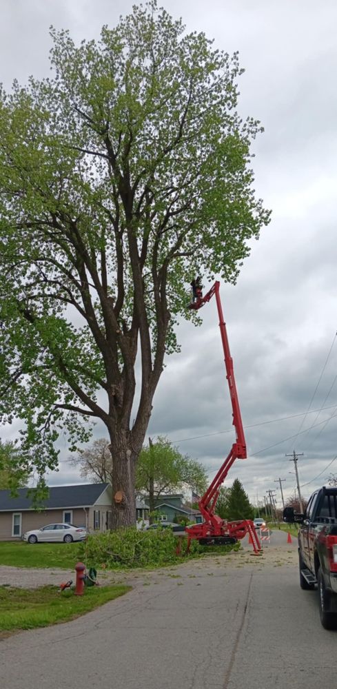 All Photos for Lawn Ranger Yard And Tree Service LLC in Ottumwa, IA