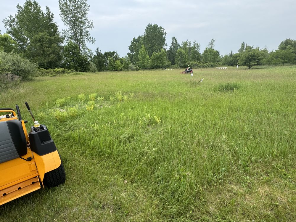 Landscaping Lawn Care for Daugherty's Tough Lawn Care in Essexville, MI