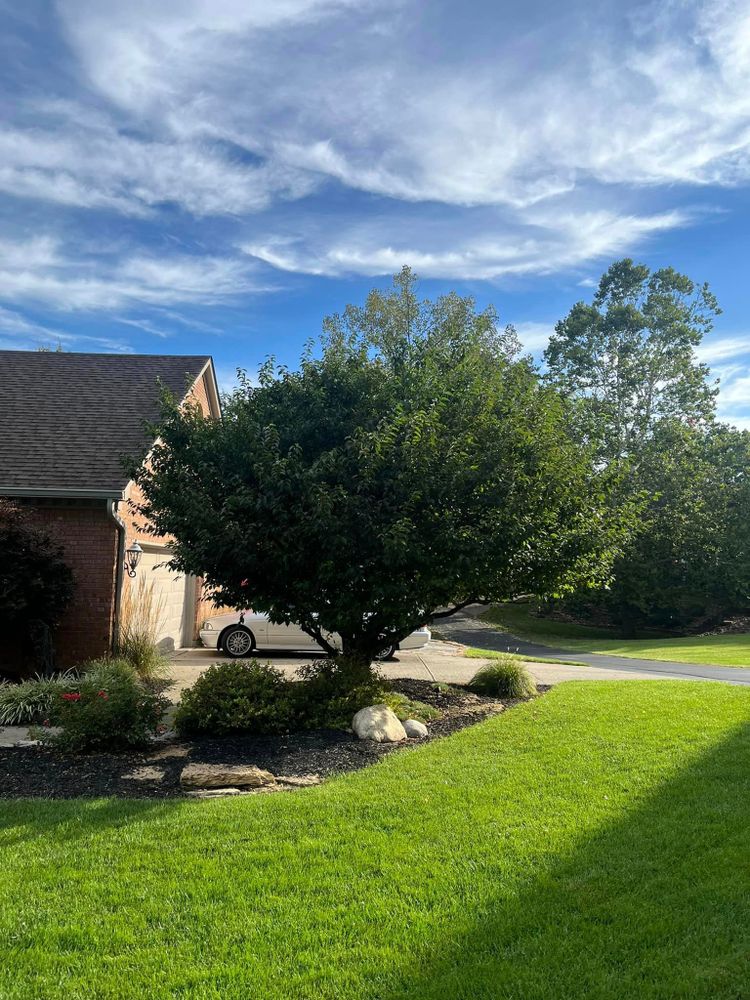 All Photos for Cincinnati’s Finest Landscape Services LLC in Cincinnati, OH