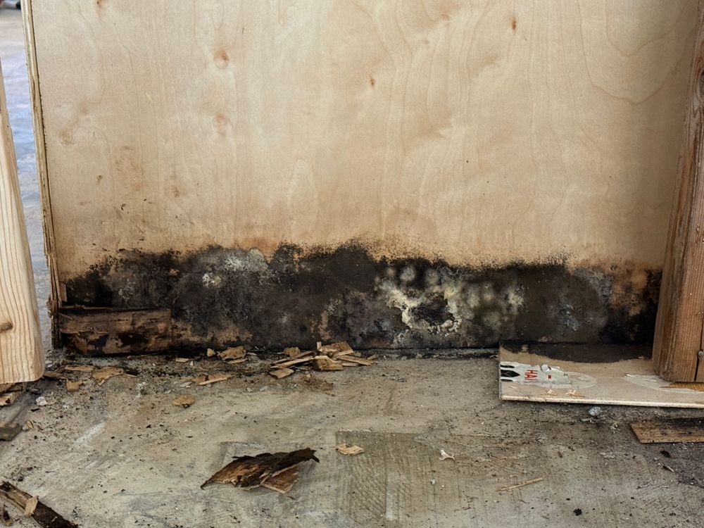 All Photos for N&D Restoration Services: When Disaster Strikes, We Come In in Cape Coral,  FL