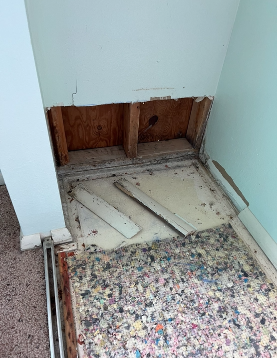 All Photos for Covenant Painting & Restoration LLC in Phoenix, AZ