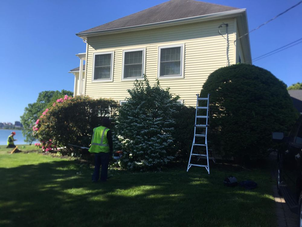 All Photos for Green In Green Out Tree Services in Westbrook, ME