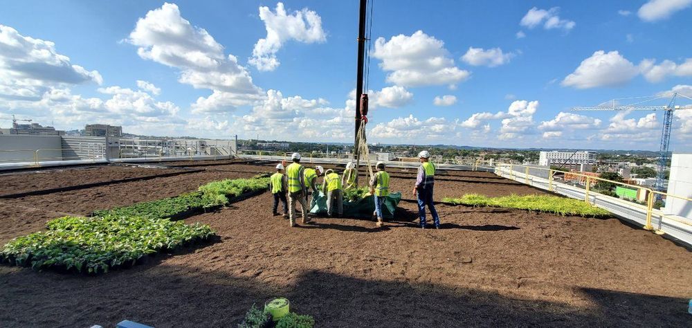 Commercial Services for Green Ventures Landscaping in Murfreesboro, TN