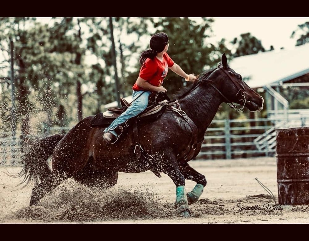 Barns for Florida Native Equestrian Services in Polk, FL