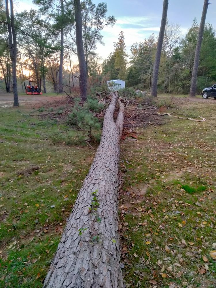 Tree Removal for J&S Tree Services  in Quitman,  TX