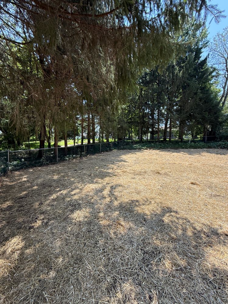 Landscaping for Kunkle & Sons Property Maintenance in Akron, OH