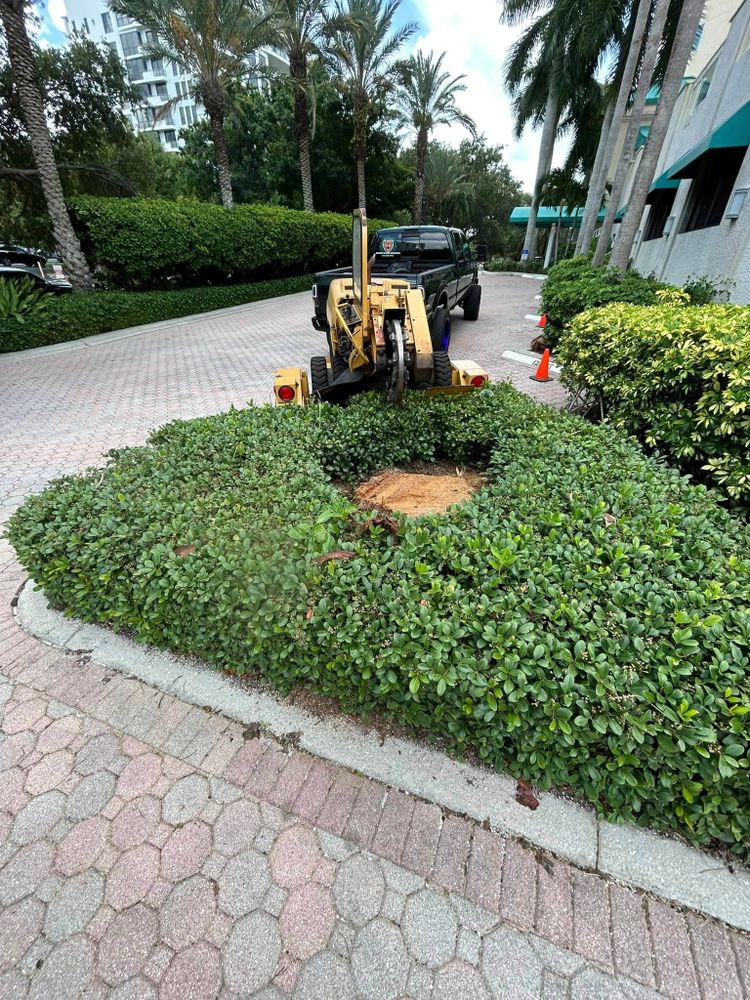 Enhance your landscape with our expert shrub trimming service, designed to improve plant health, ensure proper growth, and elevate curb appeal by shaping shrubs perfectly for a polished and attractive outdoor space. for Grizzly Stump Grinding in Sarasota, FL