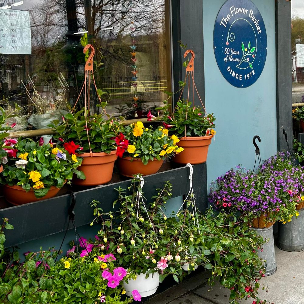 All Photos for The Dailey Daisy in Hardwick, VT