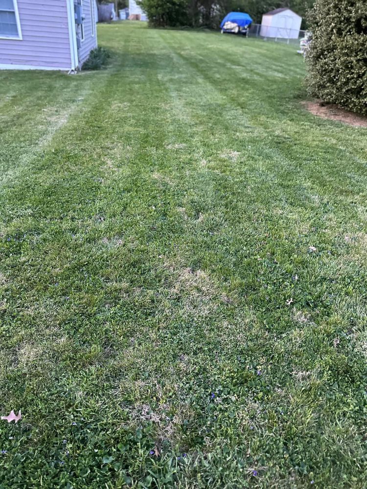 Fall and Spring Clean Up for KK&G Lawncare Services LLC in  Frankfort, KY