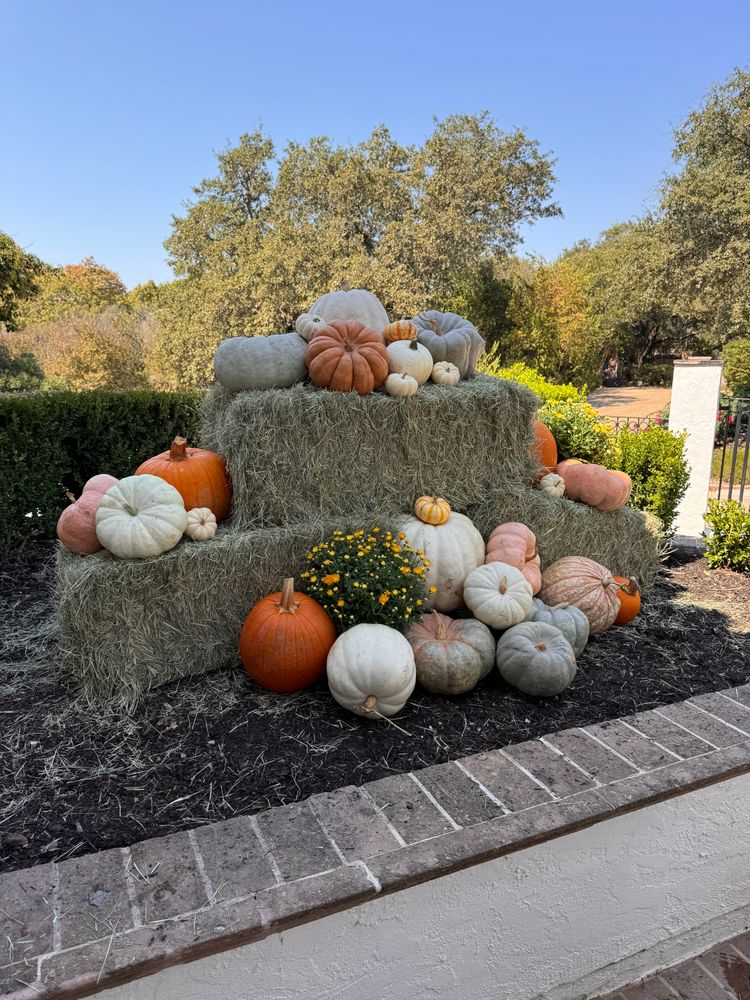 Fall Decorations  for Espinoza Landscape & Construction  in San Antonio, TX