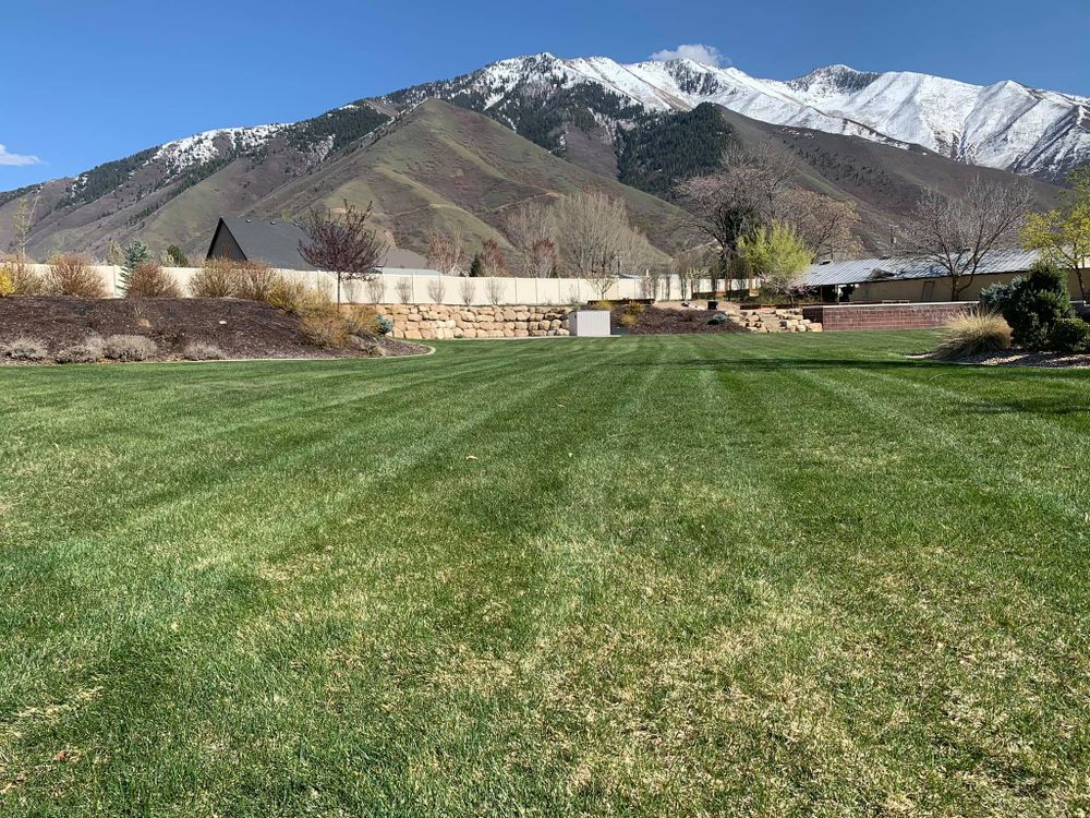 All Photos for Platinum Lawn Service in Santaquin, UT