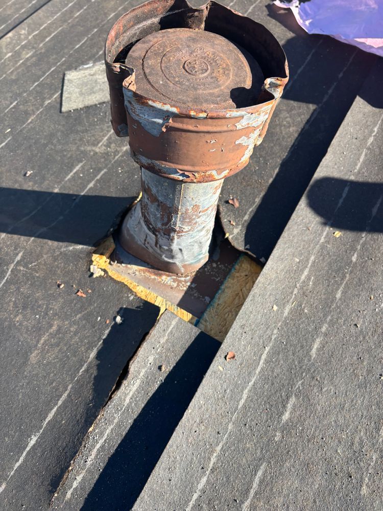 All Photos for Angel1Stop in Orange County, CA