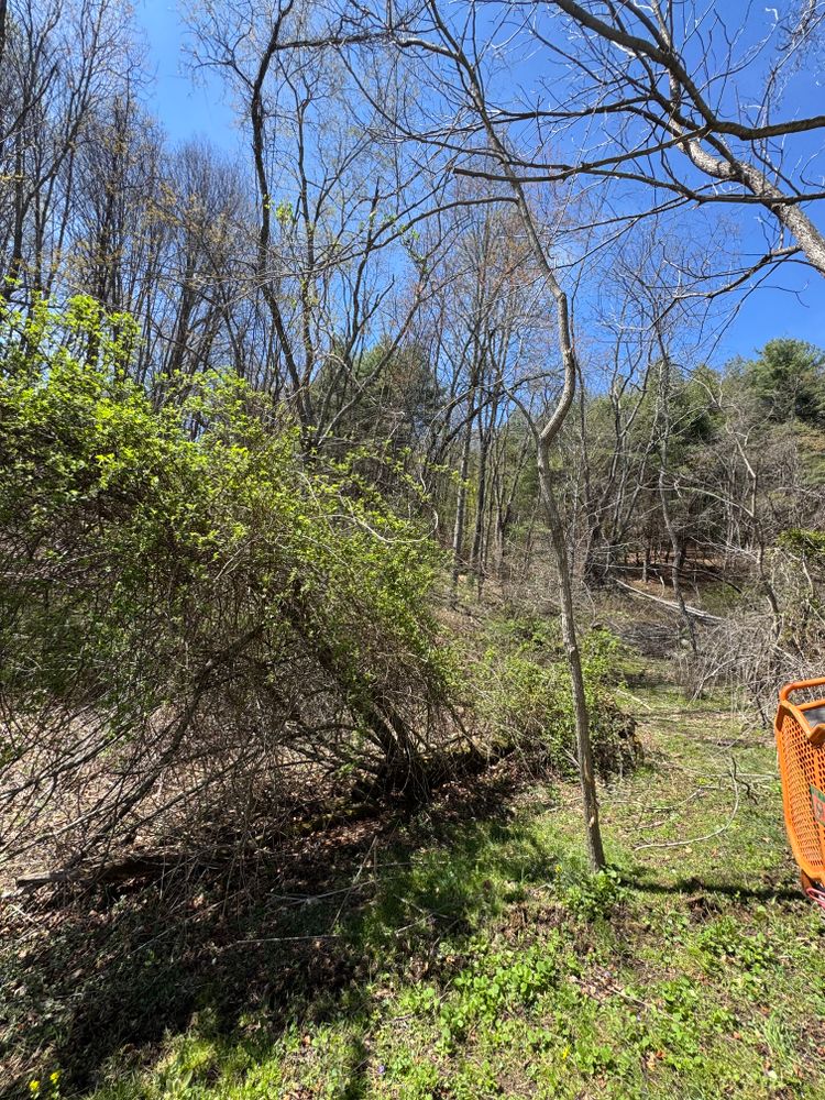 All Photos for Mountain Goat Land Management in Galax, VA