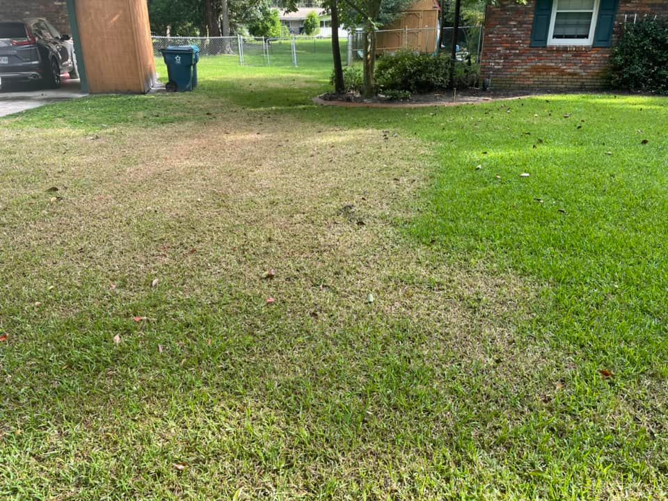 Our Insect and Disease Suppression service provides expert insect treatment to safeguard your lawn, effectively protecting it from harmful pests and diseases for a healthy, lush outdoor environment. for Reveal Home & Lawn in Brunswick, GA