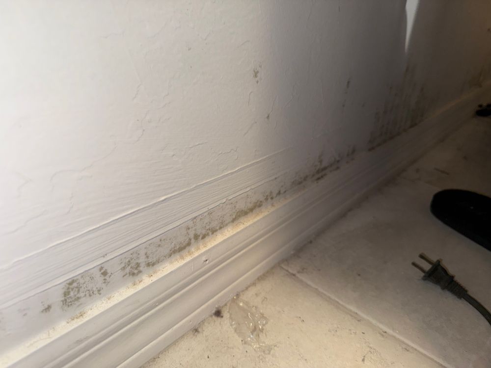 All Photos for N&D Restoration Services When Disaster Attacks, We Come In in Cape Coral,  FL