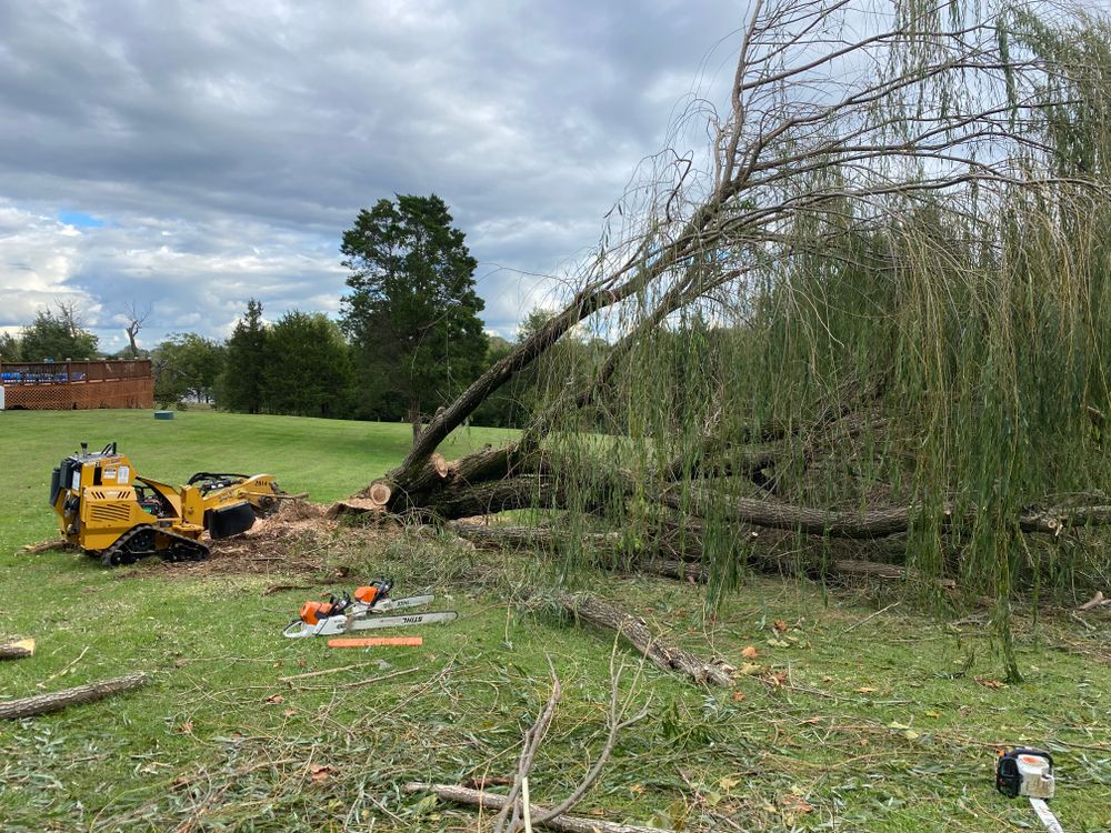 All Photos for Houtz Tree Service in Lexington, KY