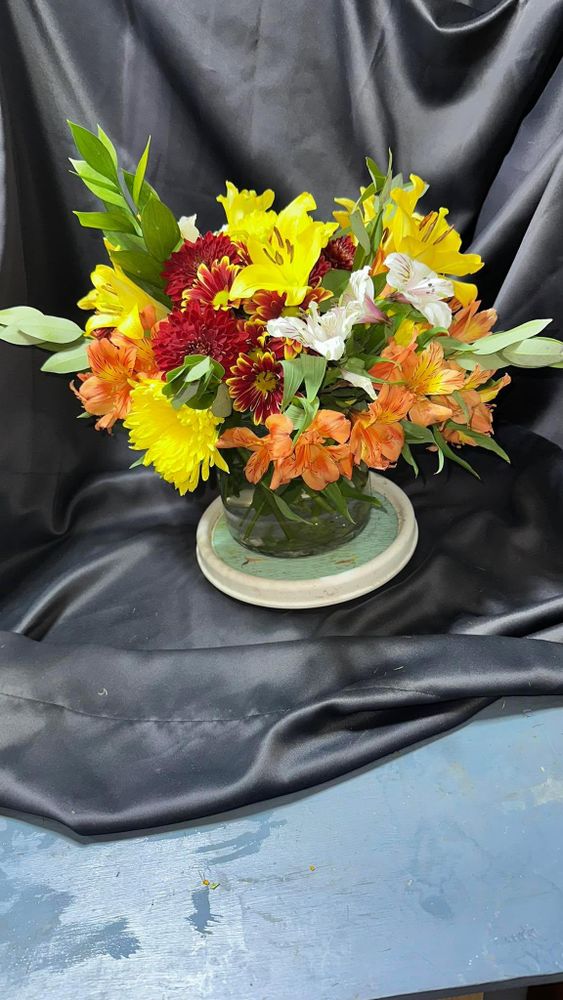 All Photos for The Dailey Daisy in Hardwick, VT