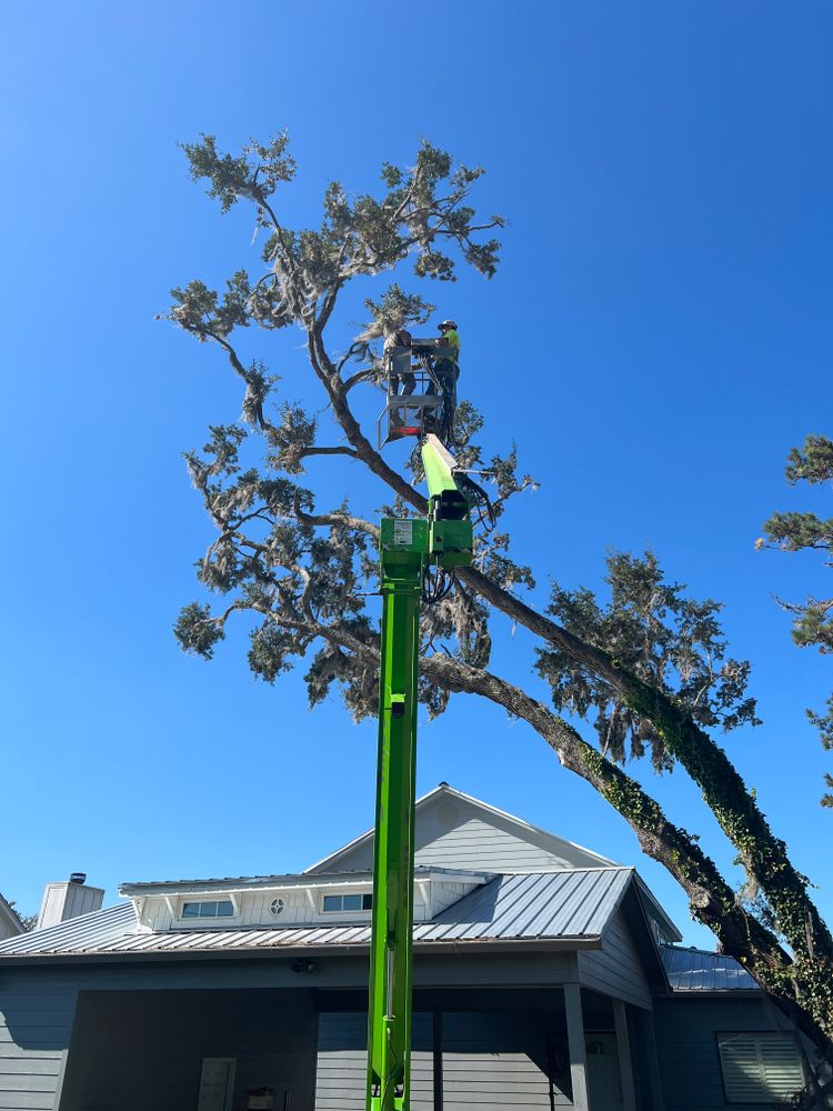 Tree Removal for Broadway & McMullen Construction in Purvis, MS