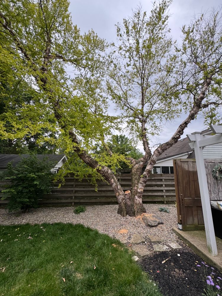 All Photos for Wininger Landscaping in New Richmond, IN