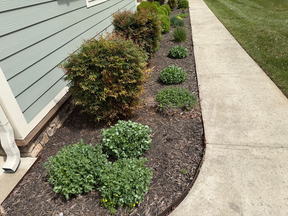 Landscaping for Starnes Hardscapes & Property Management LLC in Dunlap, TN