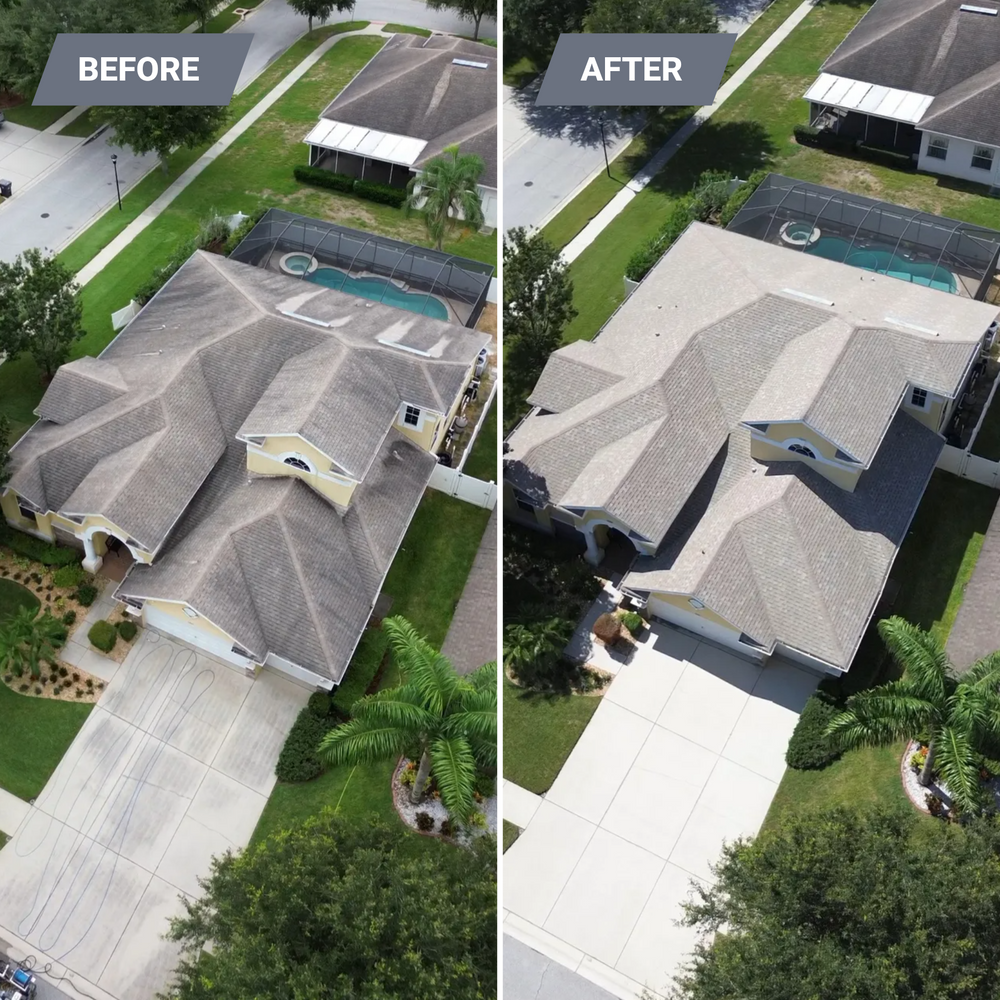 All Photos for BLUE STREAM ROOF CLEANING & PRESSURE WASHING  in Tampa, FL